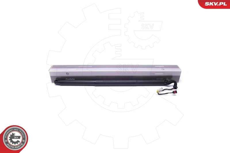 Electric Motor, tailgate